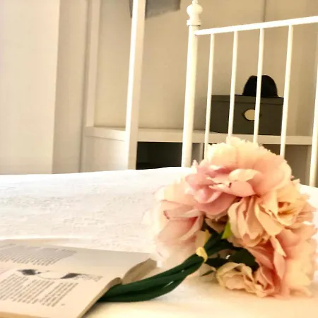 Apartment Firenze 53 Olbia